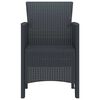 vidaXL Chaise de jardin 2 pcs Anthracite 53 x 49 x 85 cm PP