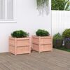 vidaXL Jardini&egrave;res 2 pcs bois massif douglas