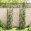 vidaXL Arche de jardin en forme de tour 2 pcs
