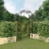 vidaXL Arche de jardin Noir 116x45x240 cm Acier