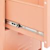 vidaXL Armoire de rangement Rose 42,5x35x101,5 cm Acier