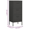 vidaXL Armoire de rangement Anthracite 42,5x35x101,5 cm Acier