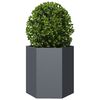 vidaXL Jardinières 2 pcs anthracite hexagone 46x40x45 cm acier