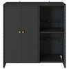 vidaXL Armoire de rangement avec &eacute;tag&egrave;re Noir 100 x 36 x 102 cm Rotin
