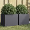vidaXL Jardini&egrave;res 2 pcs anthracite 32x30x29 cm acier
