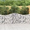 vidaXL Paniers &agrave; gabions arqu&eacute;s 2 pcs 200x30x80/100 cm Fer galvanis&eacute;