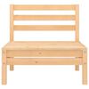 vidaXL Canapés centraux de jardin 2 pcs Bois de pin massif