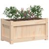 vidaXL Jardini&egrave;res 2 pcs bois de pin massif