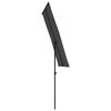 vidaXL Parasol de jardin avec m&acirc;t en aluminium 180x110 cm anthracite