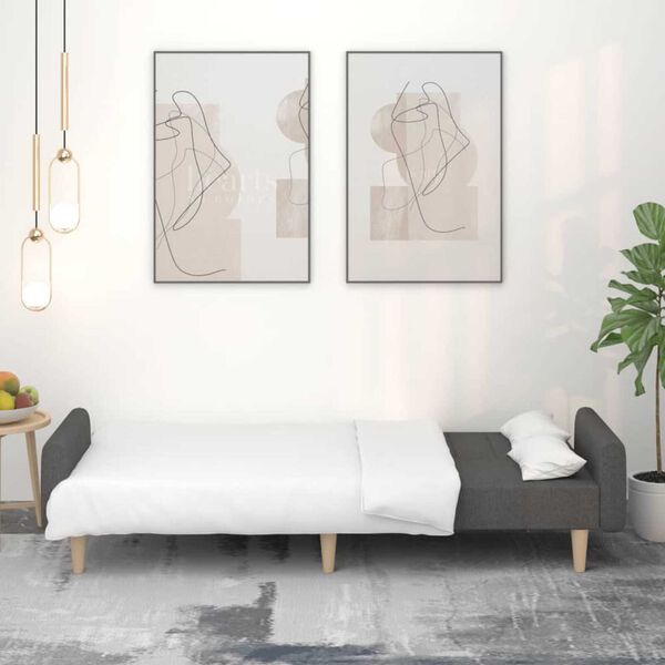 vidaXL Canapé-lit à 2 places gris foncé tissu