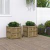 vidaXL Jardini&egrave;res 2 pcs bois de pin impr&eacute;gn&eacute;