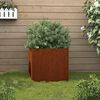 vidaXL Jardini&egrave;re 32x30x29 cm acier corten