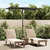 vidaXL Parasol de jardin avec m&acirc;t en aluminium 180x110 cm anthracite