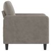 vidaXL Fauteuil Gris clair 60 cm Velours