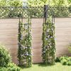 vidaXL Arche de jardin en forme de tour 2 pcs