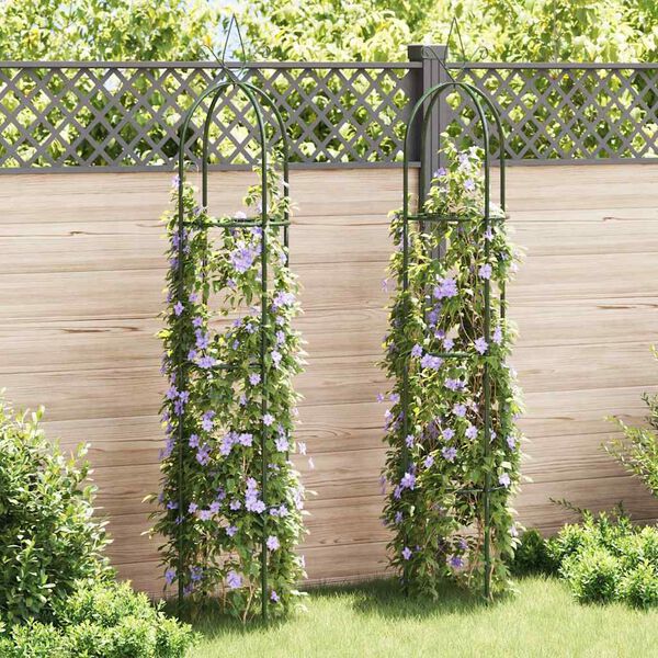 vidaXL Arche de jardin en forme de tour 2 pcs
