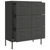 vidaXL Armoire &agrave; tiroirs Anthracite 80x35x101,5 cm Acier