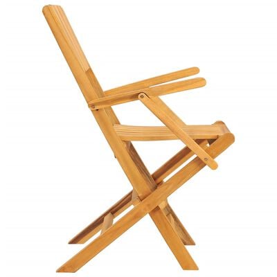 vidaXL Chaises de jardin pliantes lot de 2 55x61x90cm bois massif teck