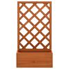 vidaXL Jardini&egrave;re &agrave; treillis de jardin Orange 50x25x90cm Bois de sapin