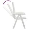 vidaXL Chaises inclinables de jardin lot de 2 blanc PP