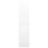 vidaXL Armoire de bureau et porte coulissante Blanc 90x40x180 cm Acier