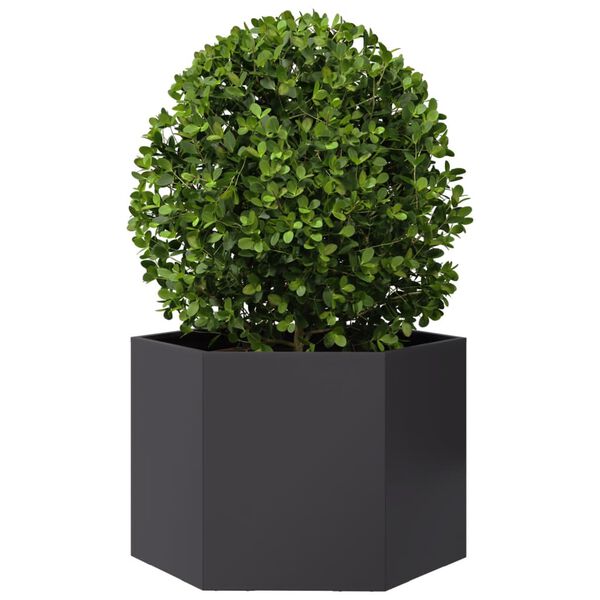 vidaXL Jardinière noir hexagone 69x60x45 cm acier