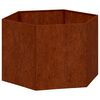 vidaXL Jardini&egrave;re Rouill&eacute; 60x60x45 cm Acier corten