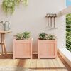 vidaXL Jardini&egrave;res 2 pcs bois massif douglas