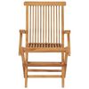 vidaXL Chaises pliables de jardin lot de 2 Bois de teck solide