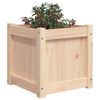 vidaXL Jardini&egrave;res 2 pcs bois de pin massif