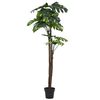 vidaXL Plante artificielle avec pot Monstera 170 cm Vert
