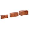 vidaXL Coffres de rangement 3 pcs Bois d'acacia solide
