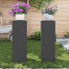 vidaXL Support de Plante 2 pcs Noir 24 x 24 x 75 cm Acier