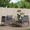vidaXL Salon de jardin 5 pcs avec coussins anthracite r&eacute;sine tress&eacute;e