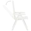 vidaXL Chaises inclinables de jardin lot de 2 Plastique Blanc