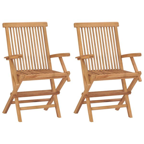 vidaXL Chaises pliables de jardin lot de 2 Bois de teck solide