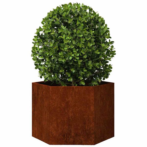 vidaXL Jardini&egrave;re Rouill&eacute; 60x60x45 cm Acier corten