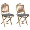 vidaXL Chaises pliantes (lot de 2) avec coussins en bambou