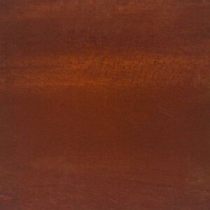 vidaXL Lit sur&eacute;lev&eacute; de jardin 100x100x18,5 cm acier corten