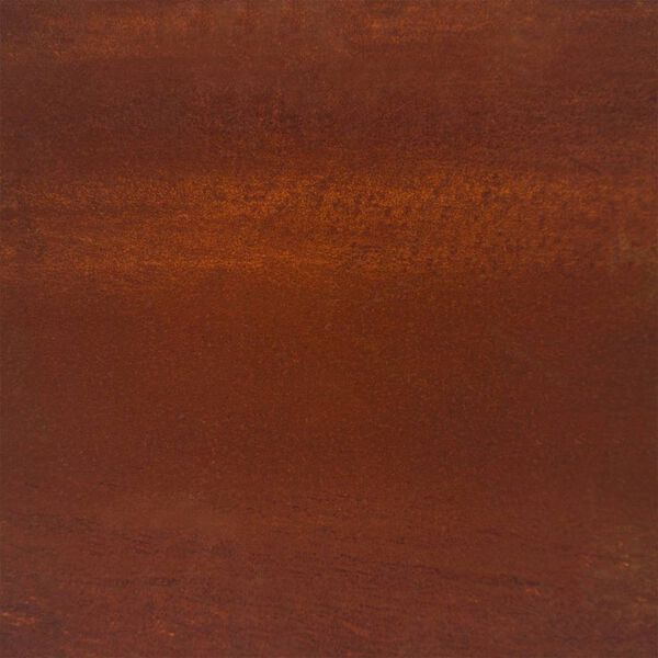 vidaXL Lit sur&eacute;lev&eacute; de jardin 100x100x18,5 cm acier corten