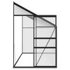 vidaXL Serre Anthracite Aluminium 7,77 m&sup3;