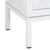 vidaXL Meuble TV Blanc 115x30x46 cm Bois massif de manguier