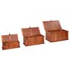 vidaXL Coffres de rangement 3 pcs Bois d'acacia solide