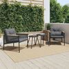 vidaXL Chaises de jardin avec coussins lot de 2 noir acier