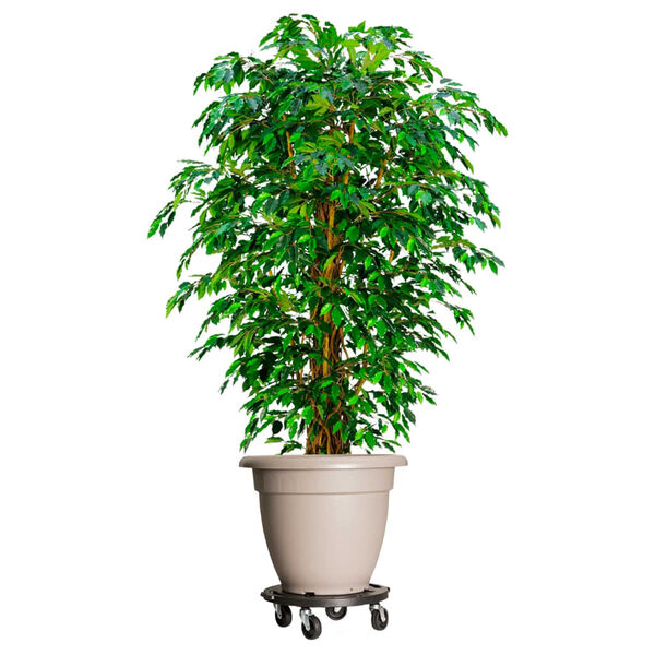 vidaXL Chariots à plantes avec roues 5 pcs Diamètre 40 cm Noir 275 kg