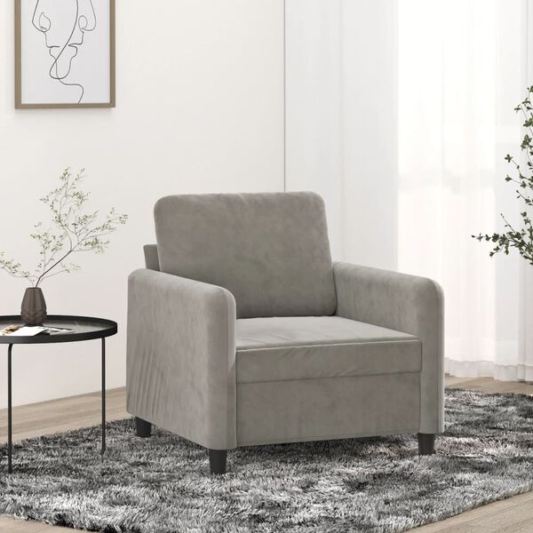 vidaXL Fauteuil Gris clair 60 cm Velours