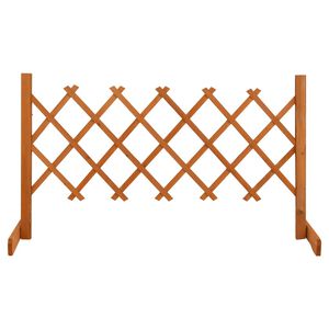 vidaXL Clôture en treillis de jardin Orange 120x60 cm Bois de sapin