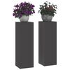 vidaXL Support de Plante 2 pcs Noir 24 x 24 x 75 cm Acier