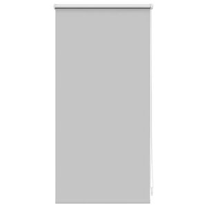 vidaXL Store enrouleur occultant gris 40 x 100 cm