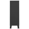 vidaXL Garde-robe industrielle Anthracite 67x35x107 cm Acier